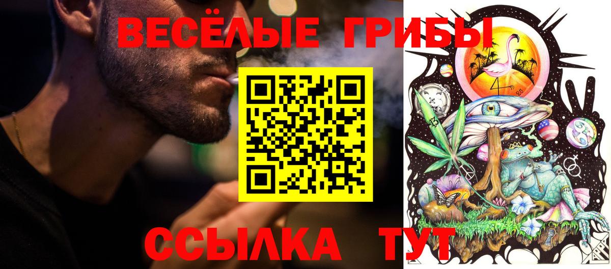 Галлюциногенные грибы MAGIC MUSHROOMS Избербаш