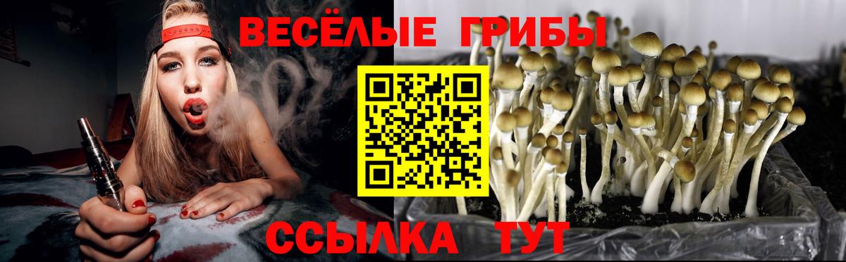 Избербаш  Псилоцибиновые грибы Cubensis  Вход с VPN 